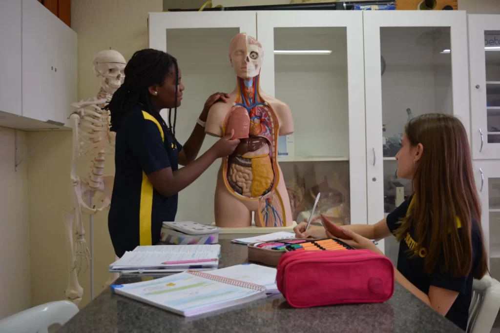 colegio-objetivo-leimeira019